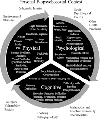 Image result for Postconcussion Syndrome