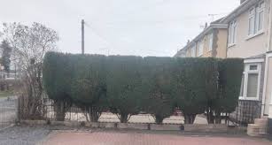 J Reynolds Garden Services...