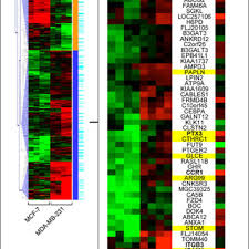 You are required to submit annual return and audited 4 professional partners for a sdn bhd company. Identification Of Putative New Mir 21 Target Genes Gene Expression Download Scientific Diagram