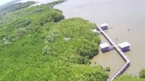 Beragam pilihan kecepatan & layanan internet sesuai dg kebutuhan kamu. Wisata Mangrove Bulukumba Akan Jadi Percontohan Di Indonesia Suara Sulsel