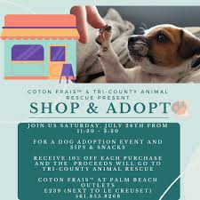 Looking for zuchon or teddy bear puppies for adoption?pet rehoming network is dedicated to finding good homes for preloved zuchon shichon teddy bear dogs and puppies throughout the usa and canada. Shop And Adopt Palm Beach Illustrated