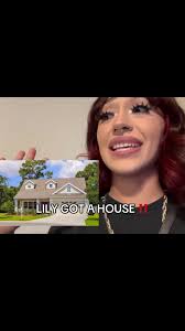 Lily House Renovation