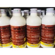Dalam satu musim penanaman minimal dilakukan 2 (dua). Obat Rumput Herbisida Indamin 400 Ml Shopee Indonesia