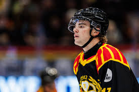 HockeyNews - News update