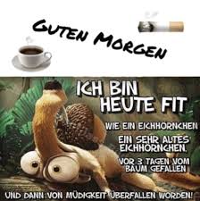 Pin Von Nicolas Rosenzweig Auf Spassiges Und Manchmal Nachdenkliches Etc Guten Morgen Lustig Lustige Guten Morgen Spruche Gute Nacht Spruche Es gibt so menschen, die springen wie neugeboren aus dem bett, bevor der wecker klingelt und sind schon vor dem ersten kaffee voller energie und tatendrang. guten morgen lustig