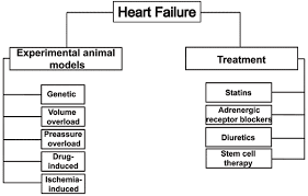 We did not find results for: Heart Failure Models Traditional And Novel Therapy Bentham Science
