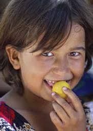 Save the Children Annual Report 2008