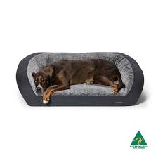 They are native to the andes mountains in south america and live in colonies called herds at high elevations up to 4,270 m (14,000 ft). Ortho Sofa Chinchilla Snooza Pet Products