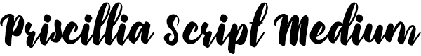 Sorry, we were unable to find a canvas script heavy font. Free Brush Fonts Urban Fonts