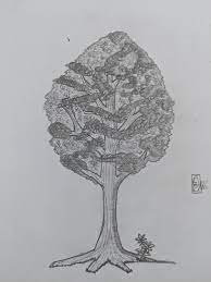 Check spelling or type a new query. Today I Decided To Train To Draw Realistic Tree Boi It S Not Easy Still Sucks But Better Than Yesterday 1 Day 1 Sketch Drawing