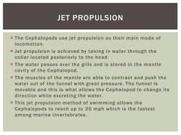 Further Phylogenetic Consideration Of Protozoans | Ppt