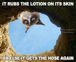 It Rubs The Lotion On Its Skin Or Else It Gets The Hose Again Home Facebook