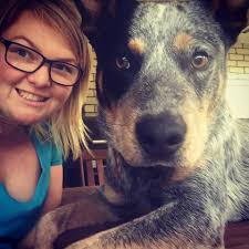 It would seem these dogs are a fan of the... beach, beach, BEEEACH! Keep  your photos coming 💙 #PupsAtTheBeach #RealLifeDogsOfBluey