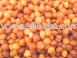 Image result for Ricinodendron