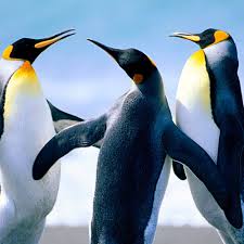 By sophie_cricket (stephanie) with 534 reads.acum stai in fata cladirii care iti va servi ca facultate timp sunteti doar voi doi pe canapeaua confortabila a livingului si va uitati la poze cu tine, cu el, cu voi doi sau cu toata familia. Nicolae Guta Am Doar O Viata Videoclip Oficial Hit 2016 By Dragan Nikolic