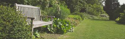 Ab herbst sind sie meist in scharen zu. Natur Garten Tiere Bucher