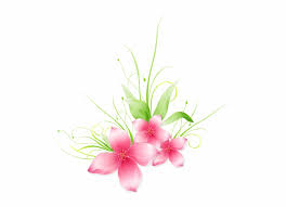 Bunga, bunga, bunga, bunga poppy merah muda dengan latar belakang biru, merangkai bunga, cabang png. Flower Png Clip Art Image Designes Pinterest Vektor Bunga Png Transparan Transparent Png Download 542865 Vippng