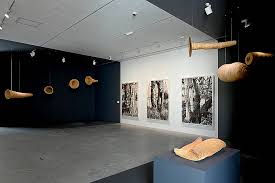 Bildergebnis für Yvonne Koolmatrie