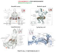 Leg Workout For Hardgainers Lying Leg Curls Leg Curl Barbell Squat