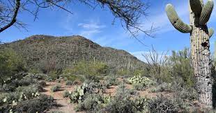 Brown Mountain Natural Landmarks Mountain Trails Vista