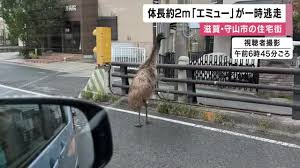 関西のニュース - カンテレ