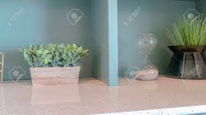 panorama frame decorative plants and