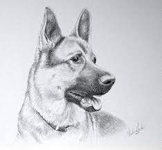 Learn to draw sitting dogs, standing dogs, cute dogs, silly dogs, and a number of dog breeds and cartoon characters. How To Draw A Dog Easy For Kids Home Facebook