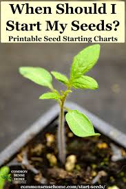 When Should I Start Seeds Indoor And Outdoor Charts Seed Starting Chart Organic Gardening Tips Starting Seeds Indoors