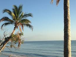 Ulysses getaways boasts the unique combination of stunning port douglas, newell beach, oak beach and cairns holiday rental properties, exceptional service, great locations and the benefit of local knowledge. Selfdrivetours Cairns Airport Shuttle Bus Transfers To Port Douglas