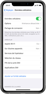 Controler L Utilisation Des Donnees Mobiles Sur Iphone Et Ipad Assistance Apple