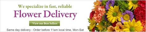 Personalized shopping experiences to serve your family's needs. North Vancouver Flower Delivery Nature S Wonders