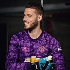 David de gea profile), team pages (e.g. David De Gea On Twitter To Fall And Rise Learn From The Experience Fight Again And Win Manutd Thanks For Your Support
