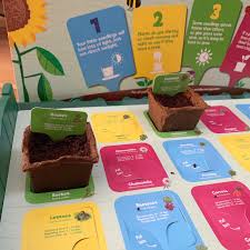 These garden starter kits contain seeds for various vegetables, herbs, and flowers. Sydney Shop Girl Lovin Life 26 9 2019 Our Woolworths Discovery Garden