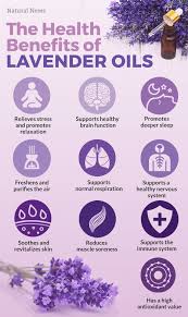 Why Lavender Is The Most Important Essential Oil To Use Right Now Lavender Oil Benefits Lavender Benefits Lavendar Essential Oil