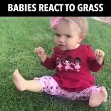 So What Exactly Is The Baby Sleep Miracle Video Funny Baby Memes Cute Funny Baby Videos Funny Babies