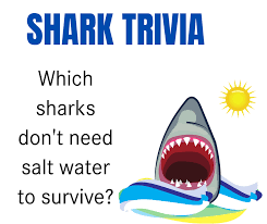 Trivia quizzes are a great way to work out your brain, maybe even learn something new. Paoli Library Publicaciones Facebook