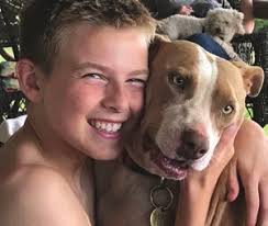 Guide to Adopting a Shelter Dog