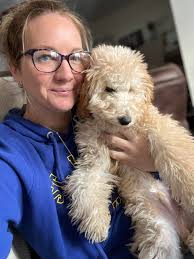 Let's see those goldendoodles!! Here's Kobe🐶♥️