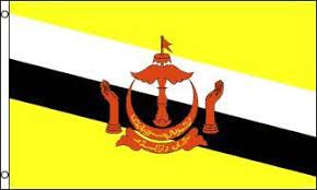 September 1959 erstmals offiziell gehisst, auch wenn das land erst am 1. Brunei Flagge 3 X5 Amazon De Garten