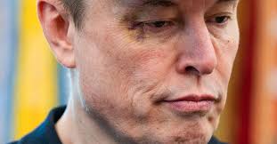 Fred McClimans (@fredmcclimans)