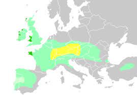 We did not find results for: Celts Wikipedia