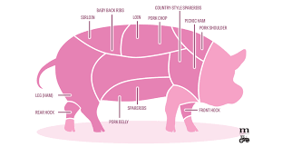 Pork Cuts 101 A Diagram Modern Farmer pork cuts 101 a diagram modern farmer