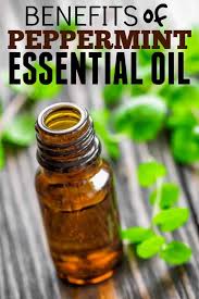 Benefits Peppermint Essential Oil Today S Creative Ideas Peppermint Essential Oil Uses Peppermint Oil Uses Essential Oil Uses