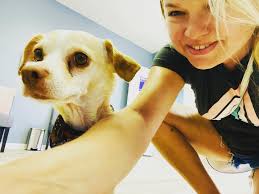 Olga Yakovlev (@olga_your_realtor) • Instagram photos and videos