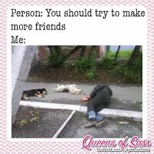 Dogs Are Better Than People Animal Memes Funny Pictures Funny Animals