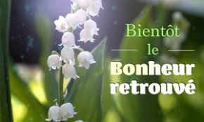 Fleurs de bretagne lesueur depuis 1926. Cartes 1er Mai Muguet Envoyez Une Carte 1er Mai Muguet Gratuite