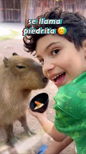 El castillo de cartón