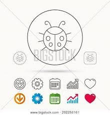 Ladybug Icon Vector Photo Free Trial Bigstock
