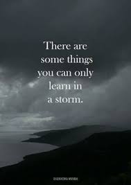 There Are Some Things You Can Only Learn In A Storm Words Words Quotes Positive Quotes Just know, when you truly want success, you'll never give up on it. words quotes