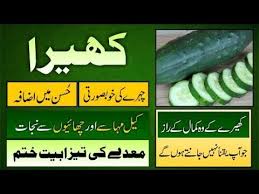 We did not find results for: Kheere Ke Fayde In Urdu Hindi Kheere Ka Istemal In Urdu Hindi By Shevanzi Tv